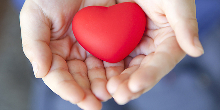 1a04cd95df14d0d99375350dd43170b6